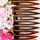 Hair Slides